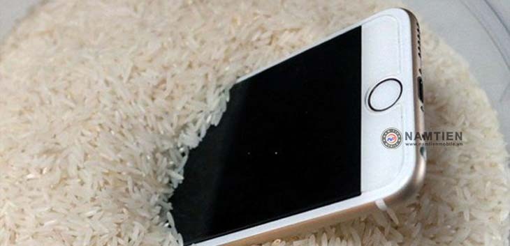 Mẹo dùng gạo để hút nước trên thiết bị khi iPhone bị vô ước.